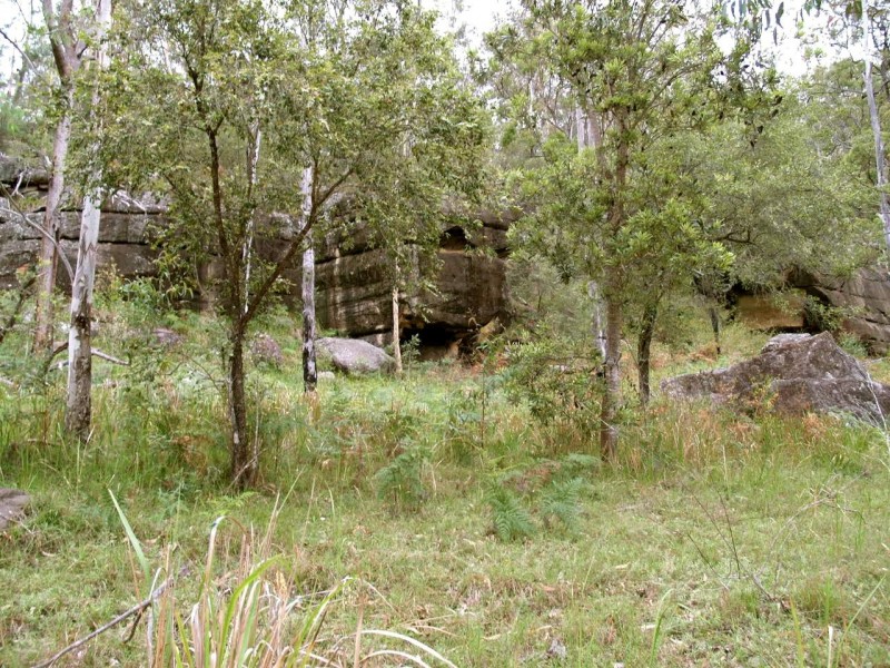 2646 Armidale Road, Coutts Crossing NSW 2460