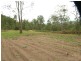 2646 Armidale Road, Coutts Crossing NSW 2460