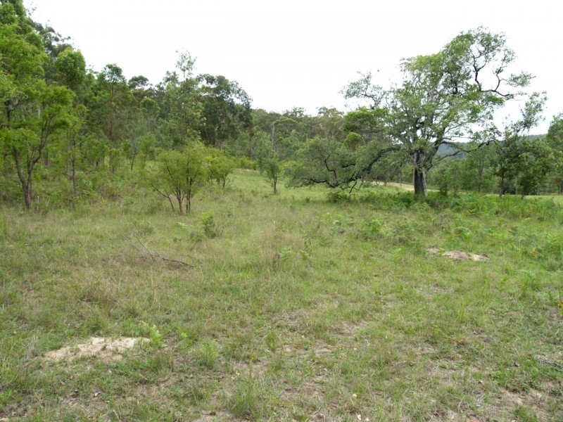 2646 Armidale Road, Coutts Crossing NSW 2460