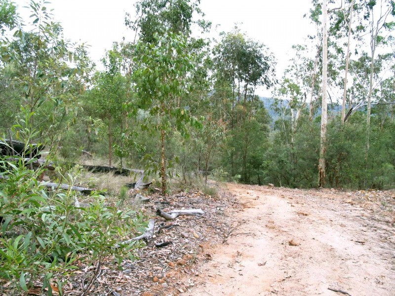 2646 Armidale Road, Coutts Crossing NSW 2460