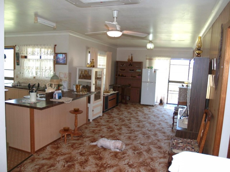 57 Eaton Street, Copmanhurst NSW 2460