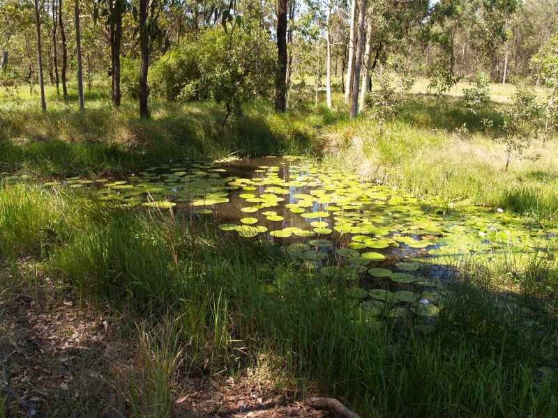 2626 Clarence Way, Upper Copmanhurst NSW 2460
