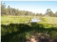 2626 Clarence Way, Upper Copmanhurst NSW 2460