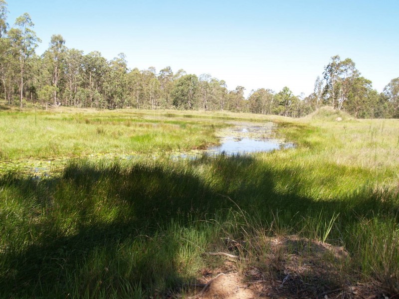 2626 Clarence Way, Upper Copmanhurst NSW 2460