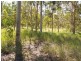 2626 Clarence Way, Upper Copmanhurst NSW 2460
