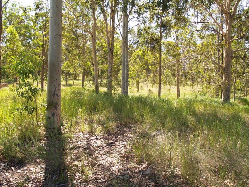 2626 Clarence Way, Upper Copmanhurst NSW 2460