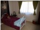 2626 Clarence Way, Upper Copmanhurst NSW 2460