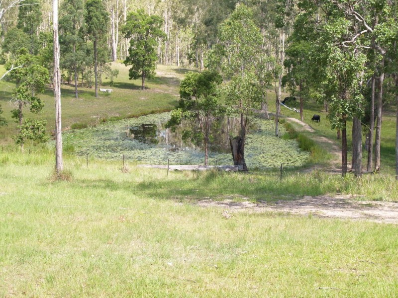 3939 Coaldale Road, Fine Flower NSW 2460