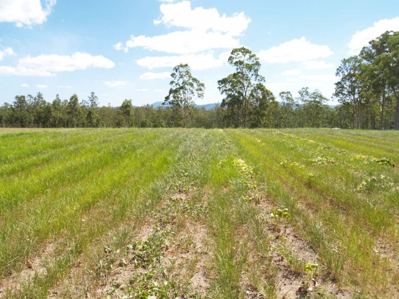 3939 Coaldale Road, Fine Flower NSW 2460