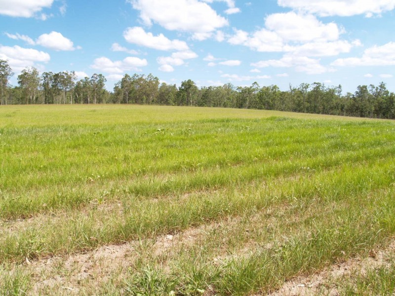 3939 Coaldale Road, Fine Flower NSW 2460