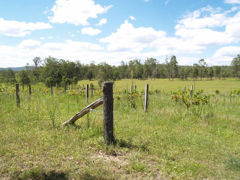 3939 Coaldale Road, Fine Flower NSW 2460