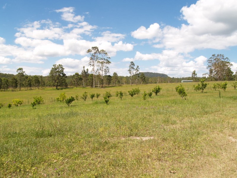 3939 Coaldale Road, Fine Flower NSW 2460