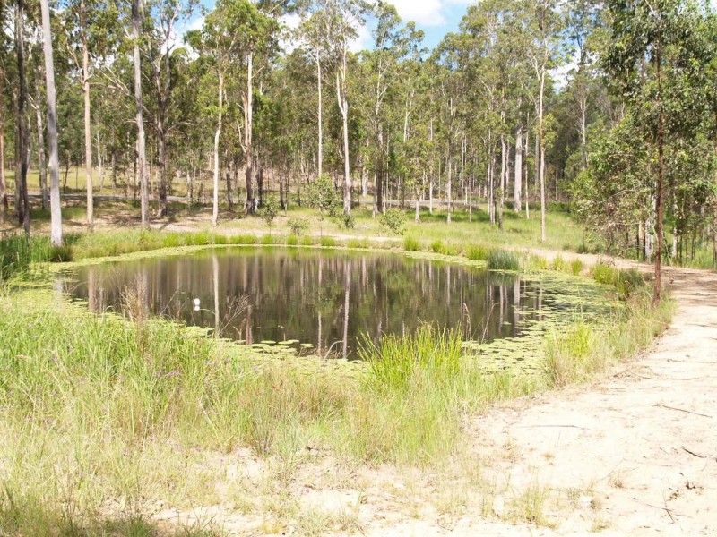 3939 Coaldale Road, Fine Flower NSW 2460