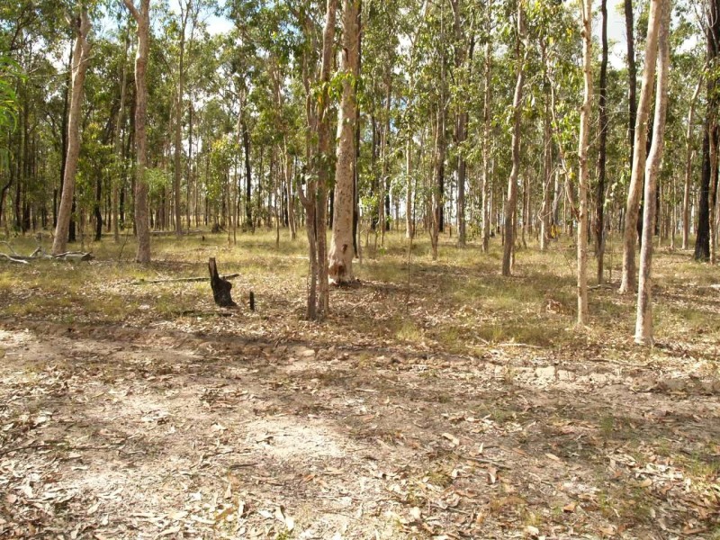 1 Maddison Place, Waterview Heights NSW 2460