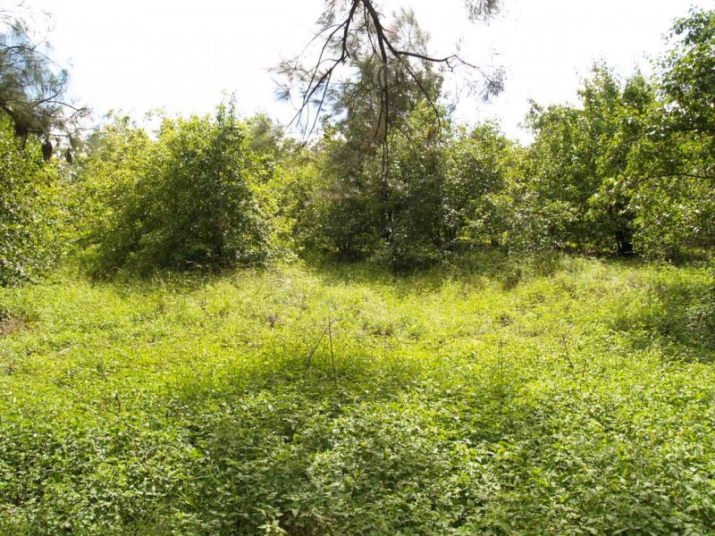 280 Florda Red Drive, Halfway Creek NSW 2460