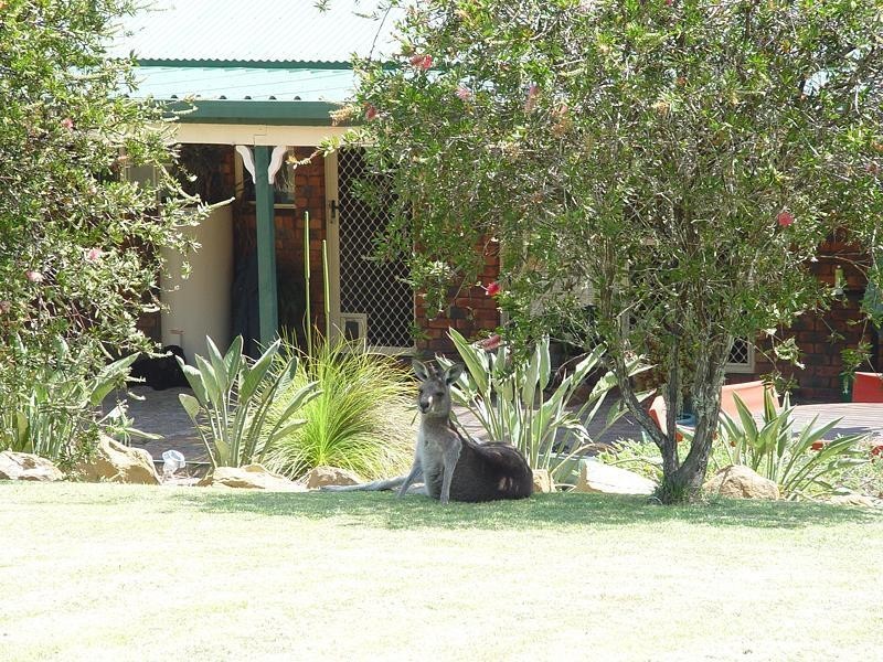 59 Whiting Drive, Seelands NSW 2460