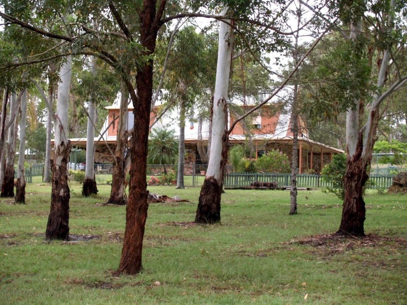 456 Seelands Hall Road, Seelands NSW 2460