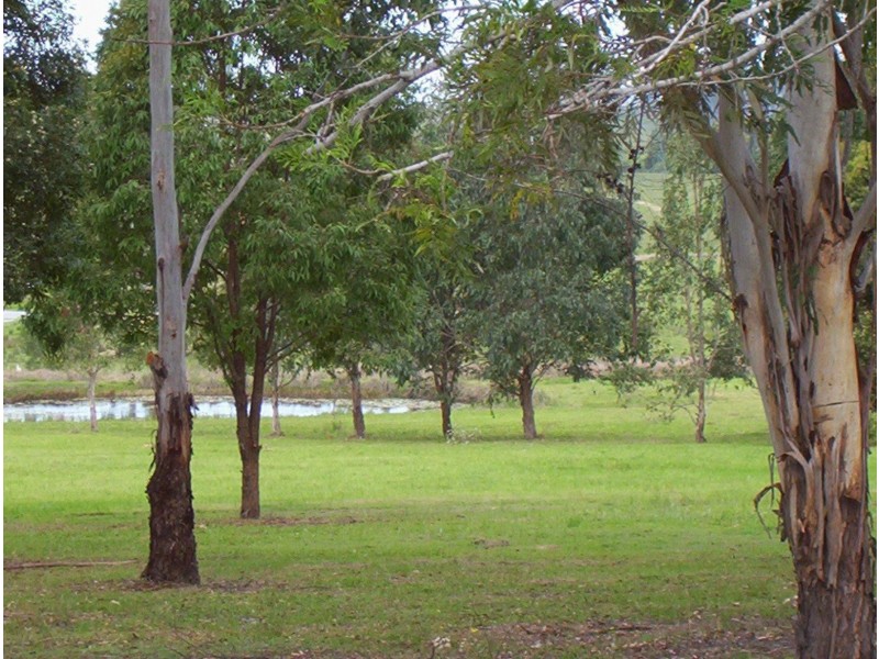 456 Seelands Hall Road, Seelands NSW 2460