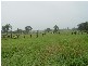 Lot 1 Bellengen Street, Tucabia NSW 2462