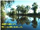 Lot 1 Bellengen Street, Tucabia NSW 2462