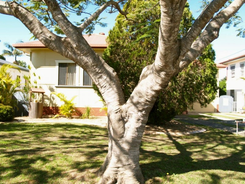12 Bowtell Avenue, Grafton NSW 2460
