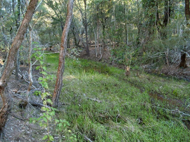 Lot 228 McGrath Lane, The Whiteman NSW 2460