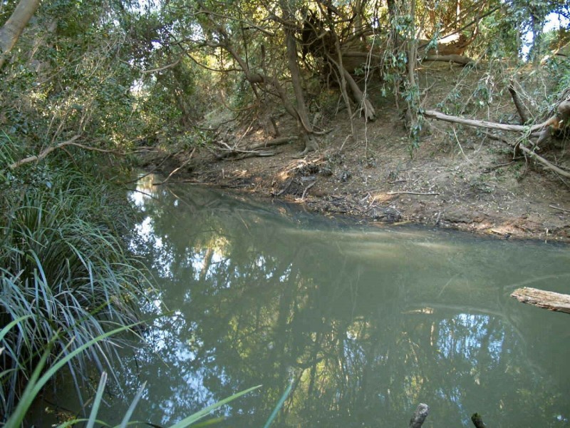 96  Kangaroo Creek Road, Coutts Crossing NSW 2460