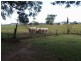 2363  Clarence Way, Upper Copmanhurst NSW 2460