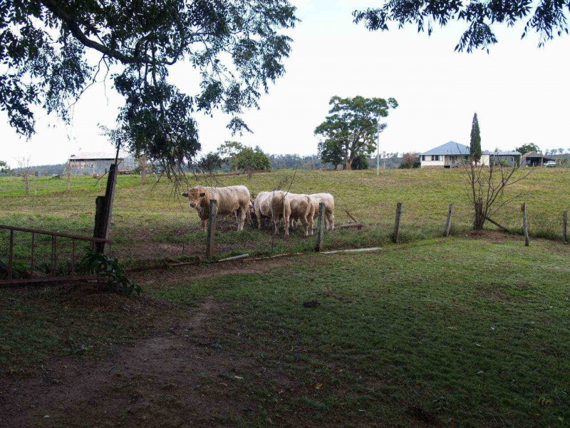2363  Clarence Way, Upper Copmanhurst NSW 2460
