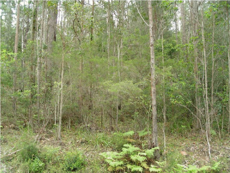 982  Kungala Road, Kungala NSW 2460
