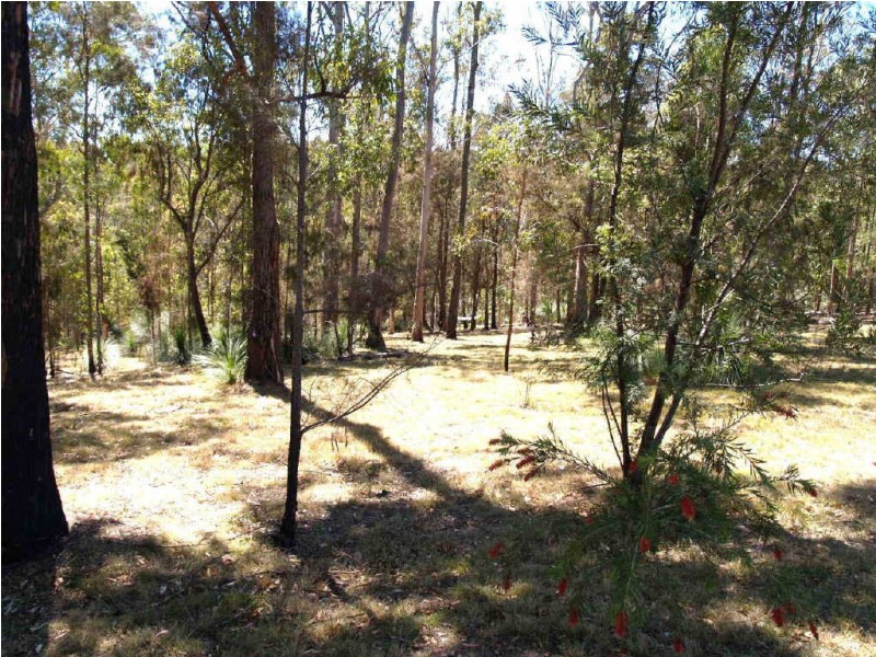 262  Black Mountain Road, Nymboida NSW 2460