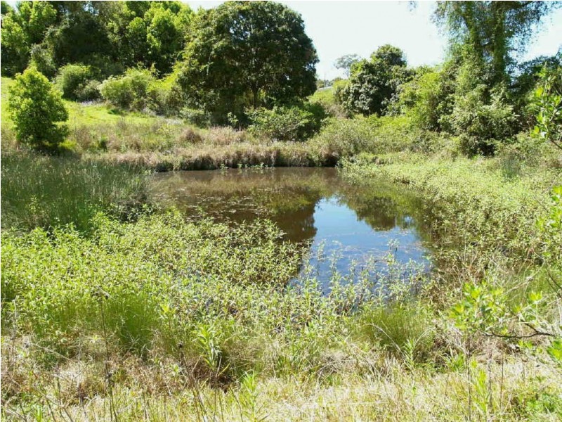 1,2,3,4,5,16  & 17  Fairfax Street, Lawrence NSW 2460