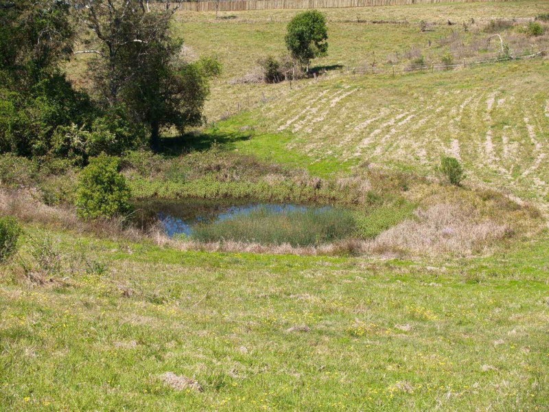 1,2,3,4,5,16  & 17  Fairfax Street, Lawrence NSW 2460