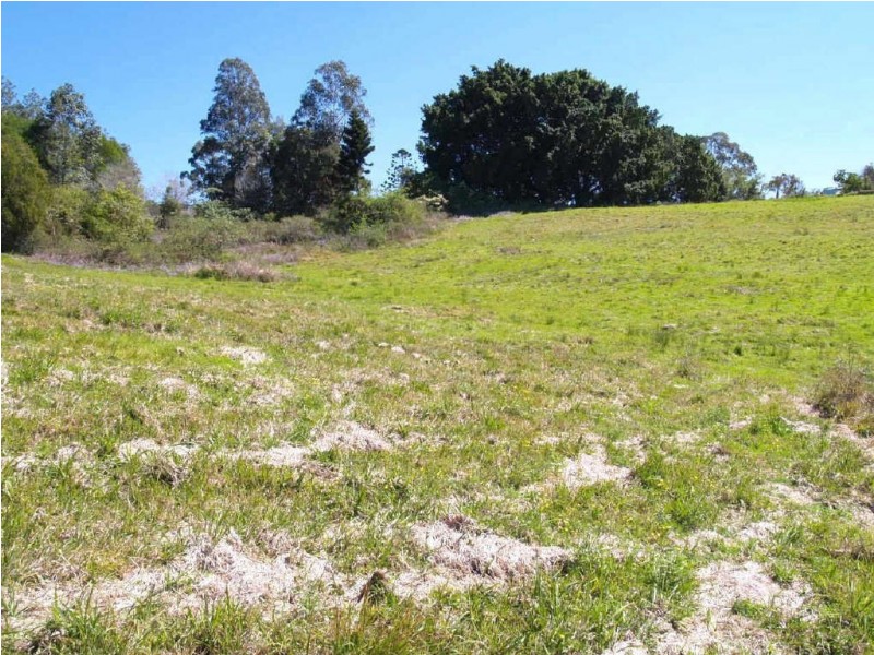 1,2,3,4,5,16  & 17  Fairfax Street, Lawrence NSW 2460