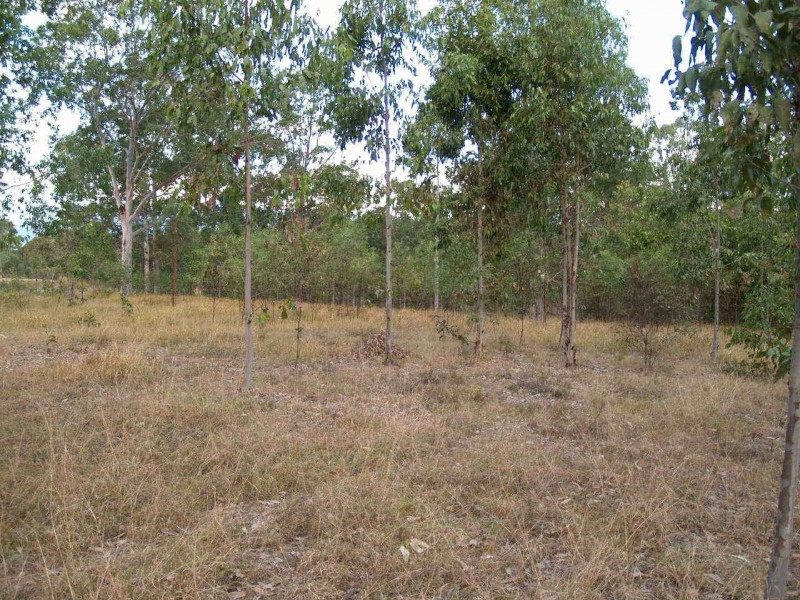 68  Edward Ogilvie Drive, Clarenza NSW 2460