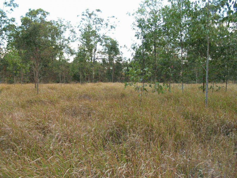 68  Edward Ogilvie Drive, Clarenza NSW 2460