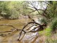969  Old Glen Innes Road,, Chambigne NSW 2460