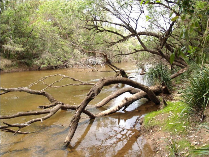 969  Old Glen Innes Road,, Chambigne NSW 2460