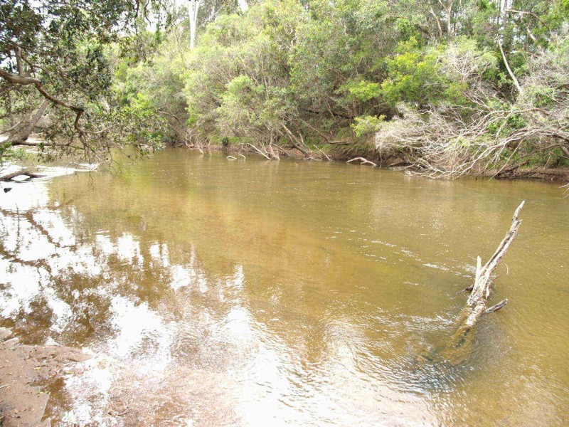 969  Old Glen Innes Road,, Chambigne NSW 2460