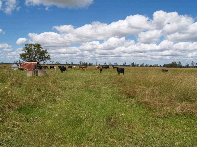 1211  Lower Coldstream Road, Ulmarra NSW 2462