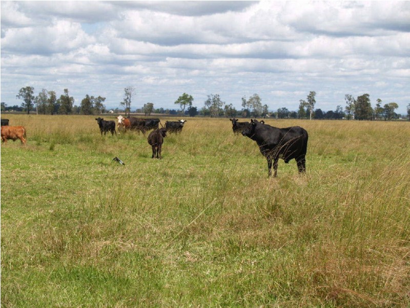 1211  Lower Coldstream Road, Ulmarra NSW 2462