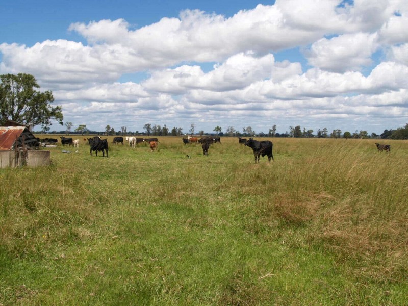 1211  Lower Coldstream Road, Ulmarra NSW 2462