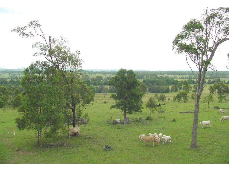 1632 Armidale Road, Coutts Crossing NSW 2460