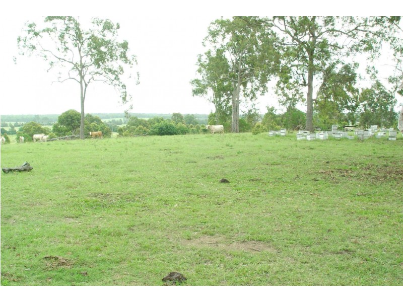 1632 Armidale Road, Coutts Crossing NSW 2460