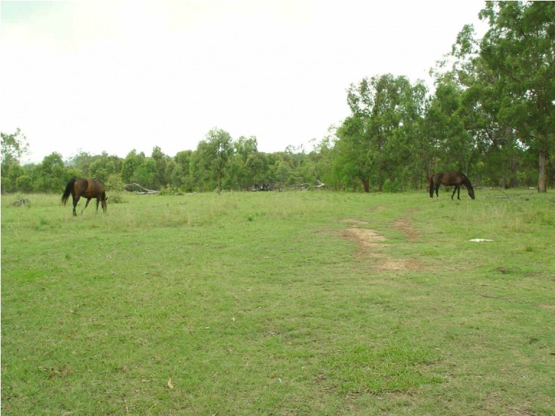 1632 Armidale Road, Coutts Crossing NSW 2460