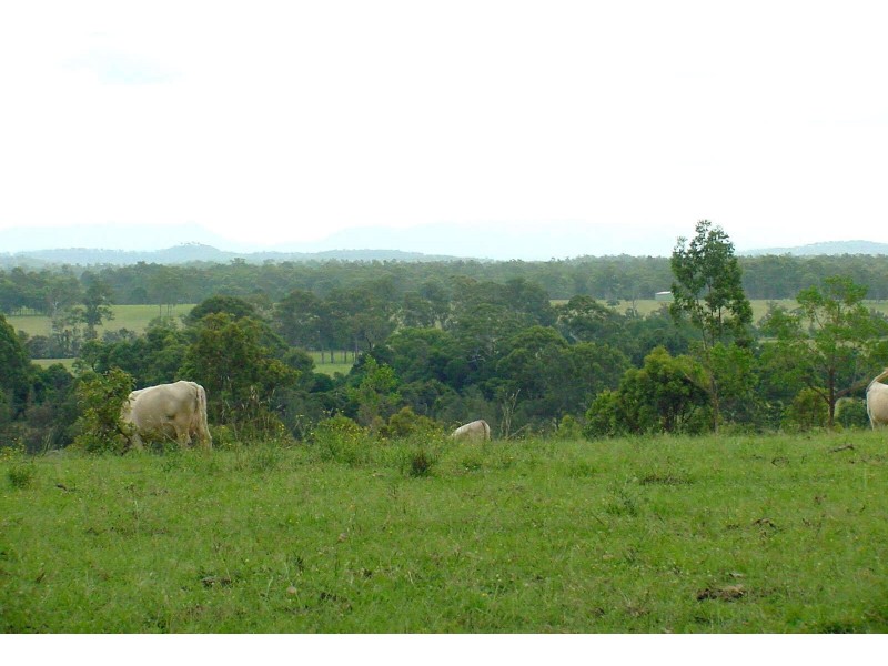 1632 Armidale Road, Coutts Crossing NSW 2460