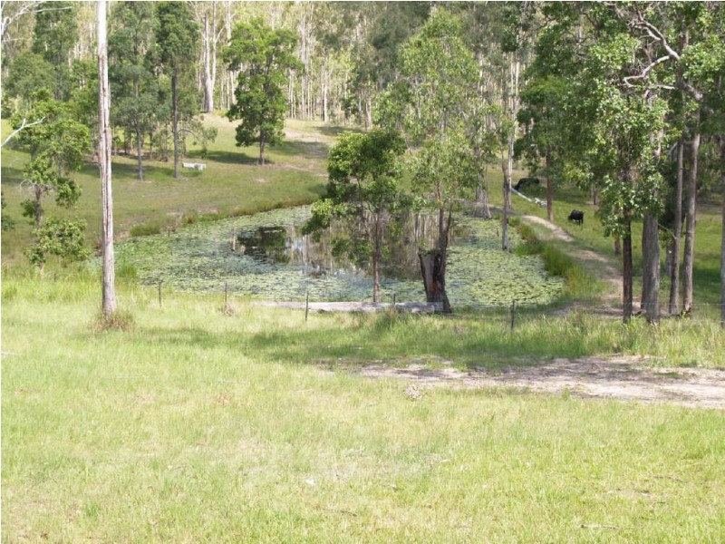 3939  Coaldale Road, Fine Flower NSW 2460