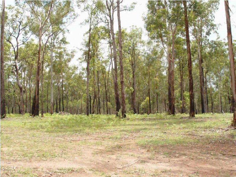 58  Ryans Gully Road, Eatonsville NSW 2460