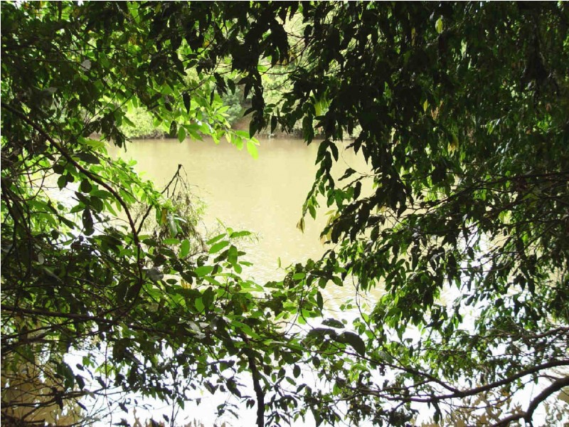 58  Ryans Gully Road, Eatonsville NSW 2460