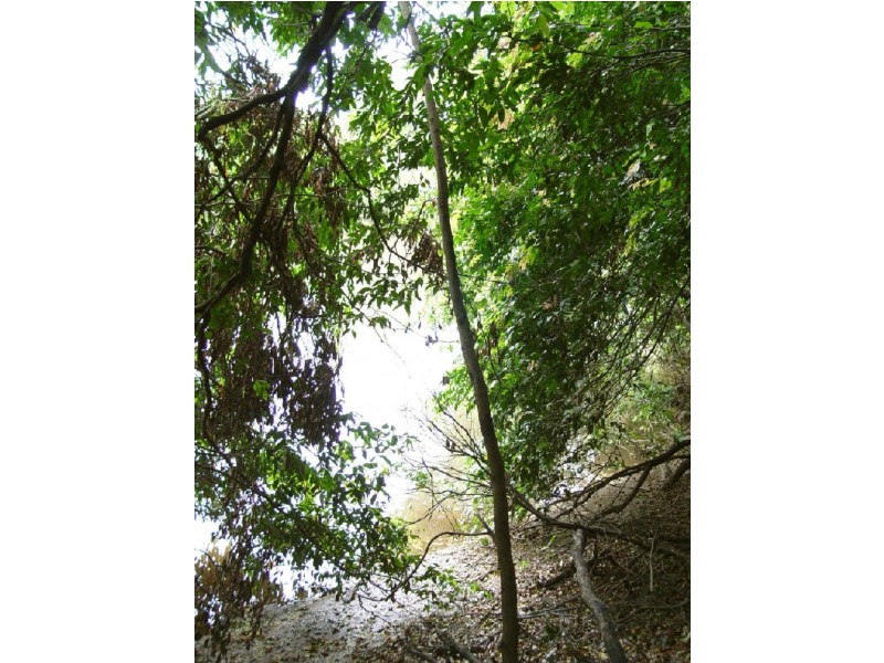 58  Ryans Gully Road, Eatonsville NSW 2460